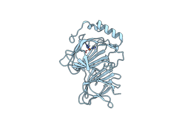 4HLT image