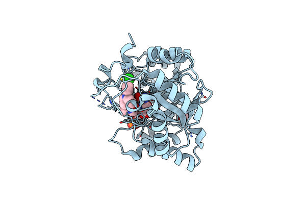 4HMN image
