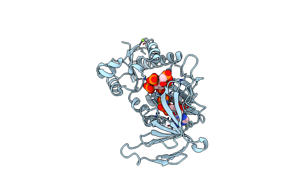 4HN2 image