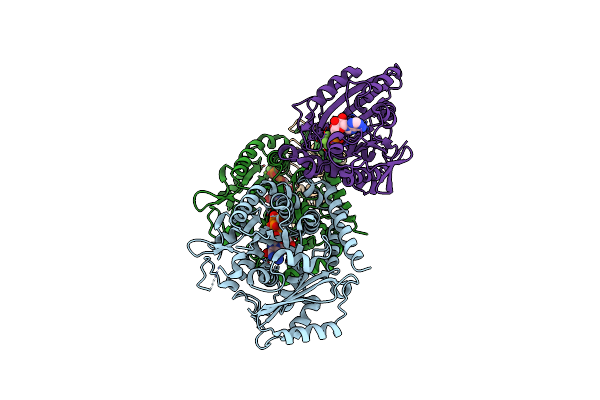 4HNA image