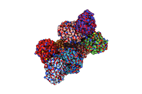 4HNN image