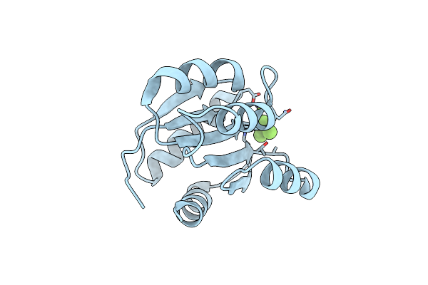 4HNS image
