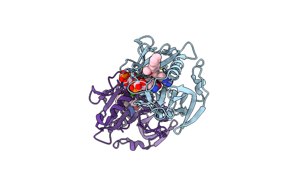 4HOG image