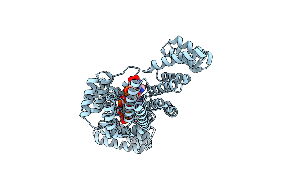 4HOT image