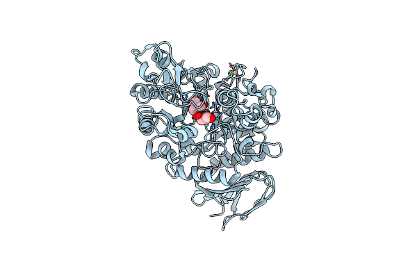 4HOX image