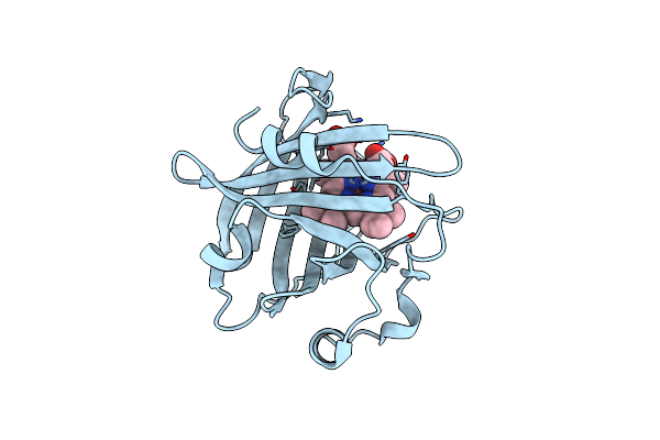 4HPD image