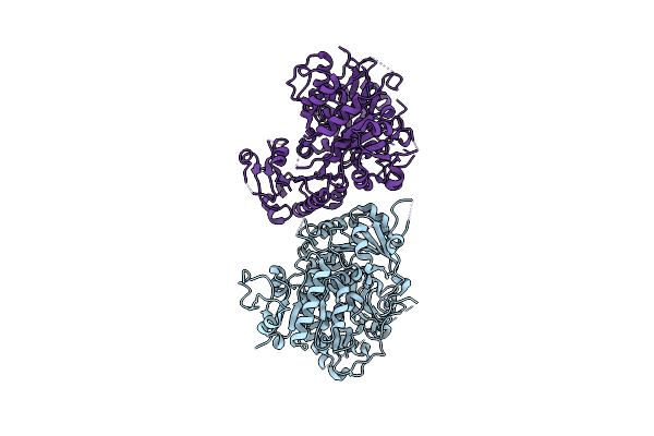 4HPF image