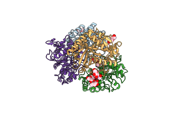 4HPG image