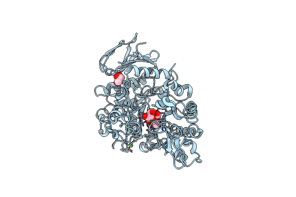 4HPH image