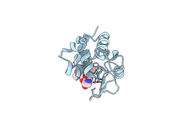 4HPI image