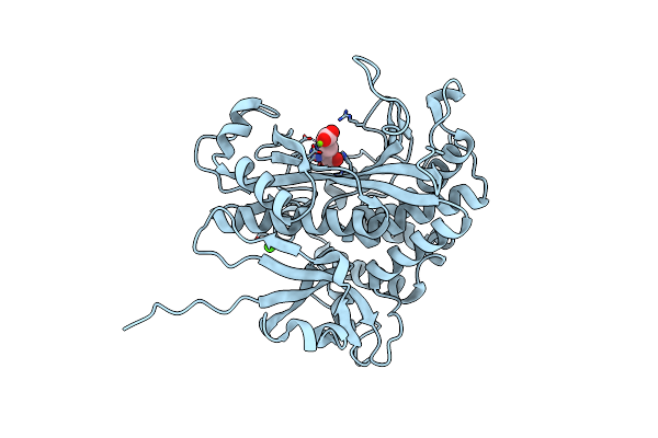 4HPP image