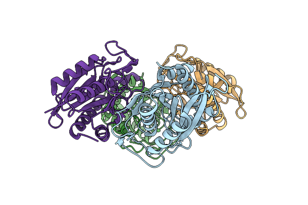 4HPS image
