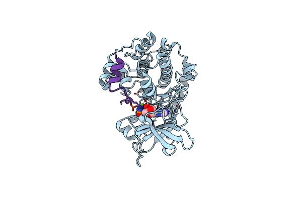 4HPT image