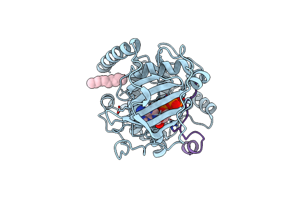 4HPU image