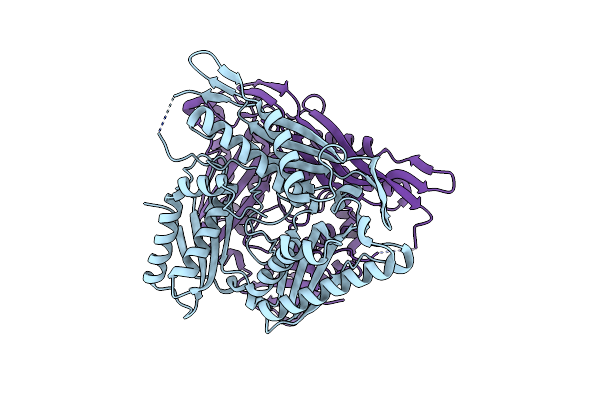 4HPV image
