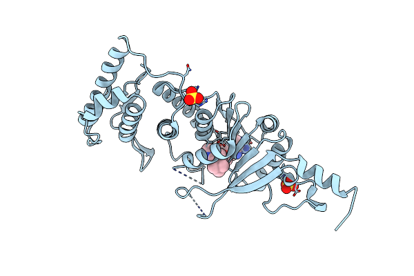 4HRA image