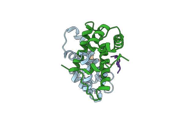 4HRG image