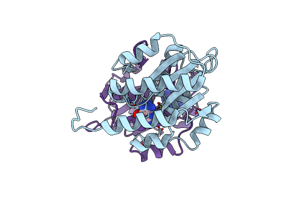 4HRQ image