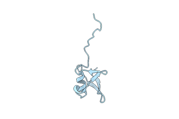 4HRS image