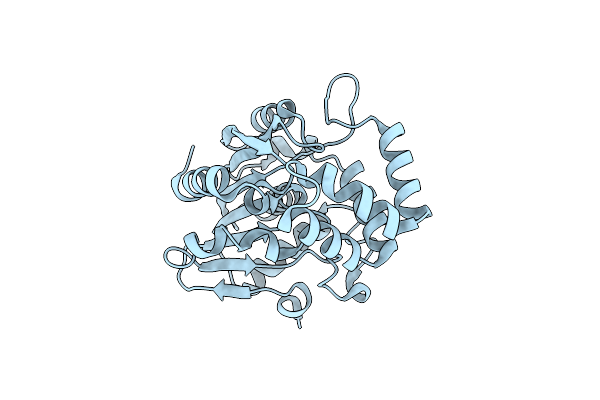 4HRX image