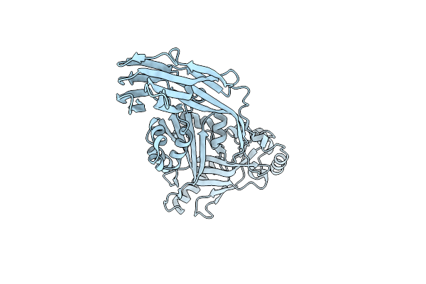 4HSC image