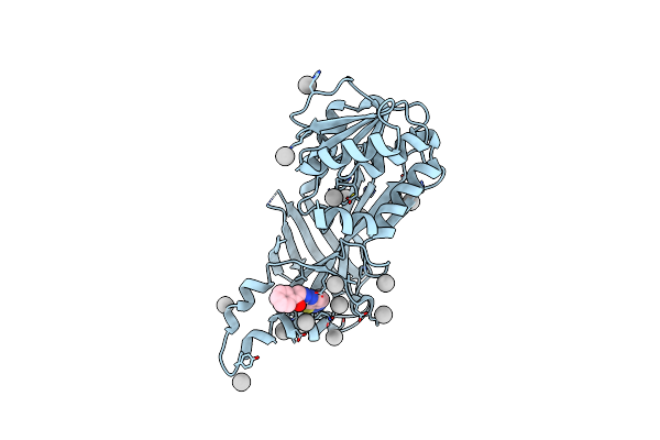 4HSG image