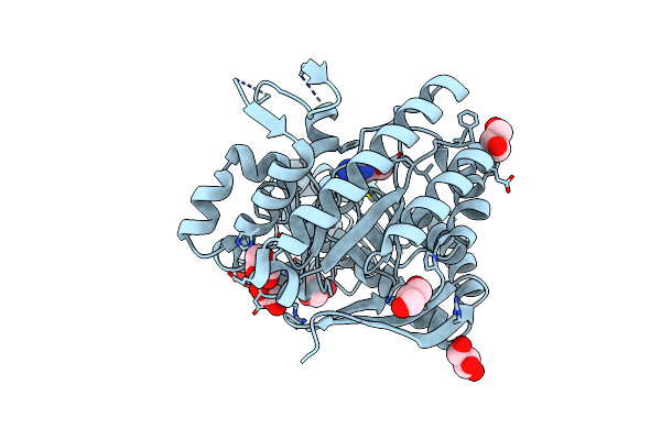 4HSH image