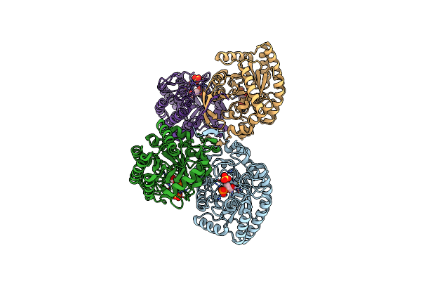 4HSN image
