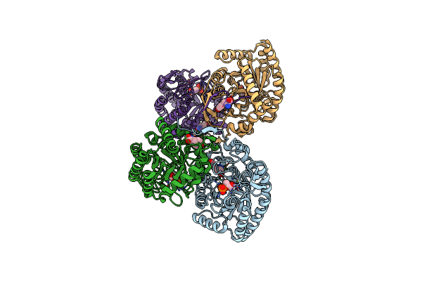 4HSO image