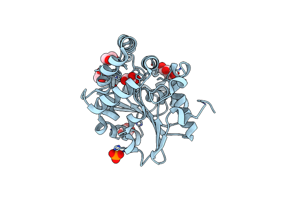 4HTA image