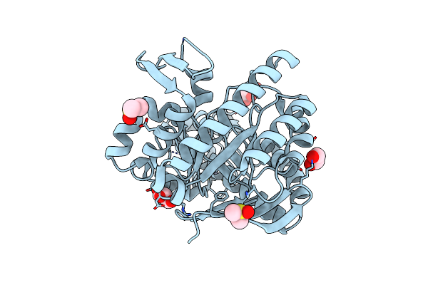 4HTB image
