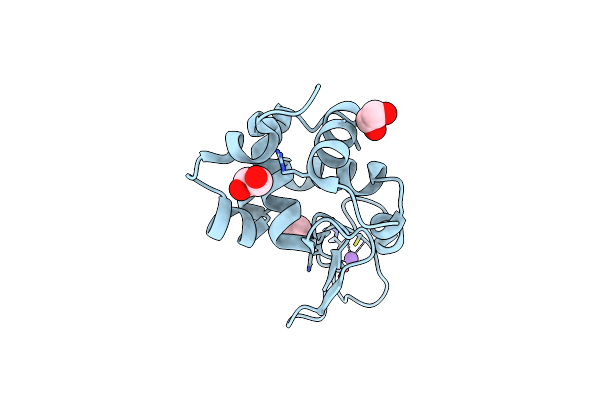 4HTN image