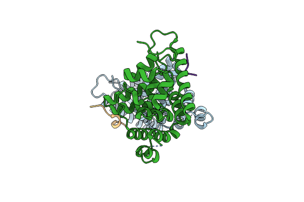 4HTP image