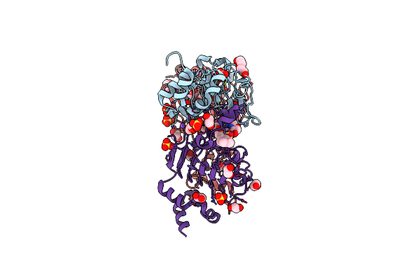 4HUS image