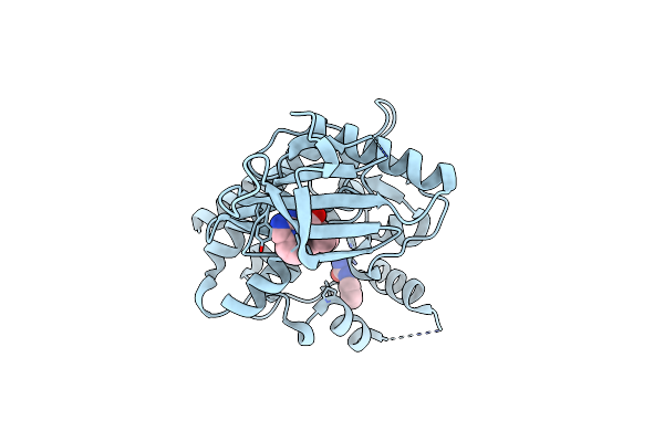 4HVD image