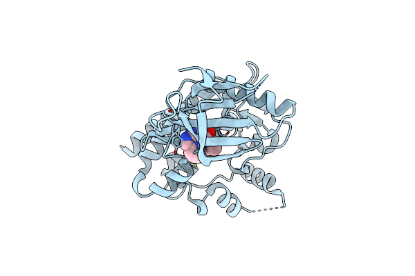 4HVG image