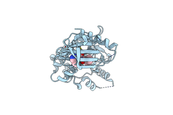 4HVI image