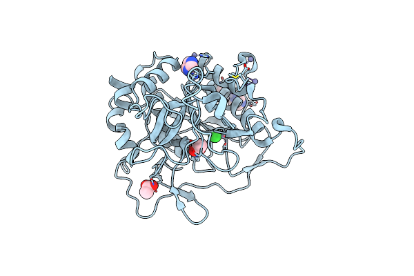 4HVL image