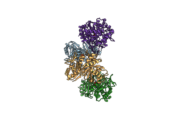 4HVM image