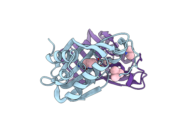 4HVN image