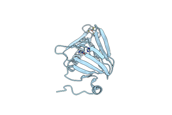 4HVO image