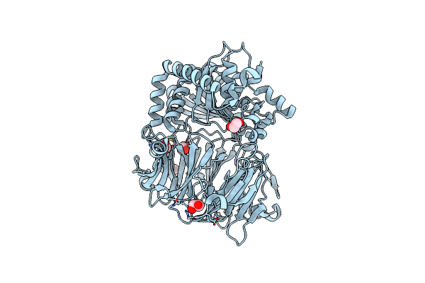 4HVT image