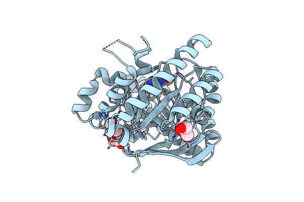 4HVX image