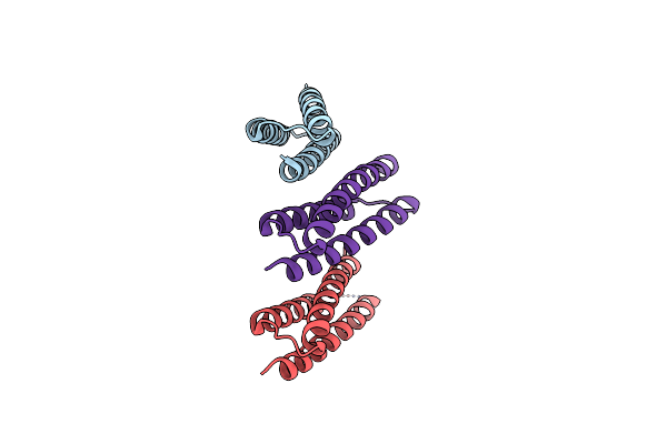 4HWD image