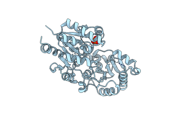 4HWG image