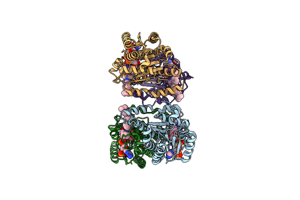 4HX5 image