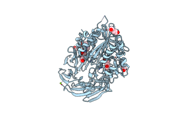 4HXE image
