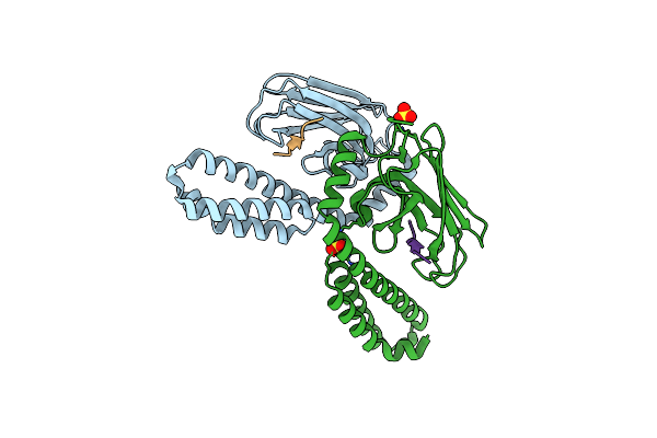 4HYB image