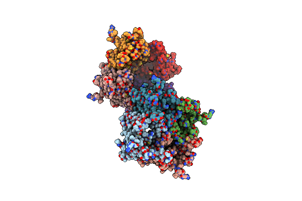 4HYC image
