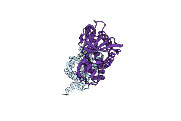 4HYN image